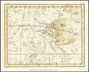 1822 - Alexander Jamieson - Býk