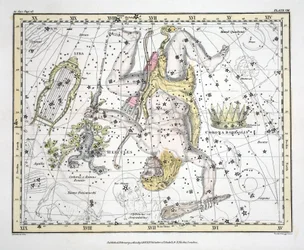 Souhvězdí (deska VIII) Corona Borealis, Herkules a Cerberus, Lyra, z 