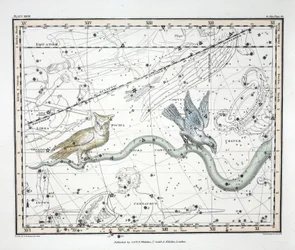 Souhvězdí (Plate XXVII) Hydra Continua, Kráter, Covus, Centaurus a Lupus, z 