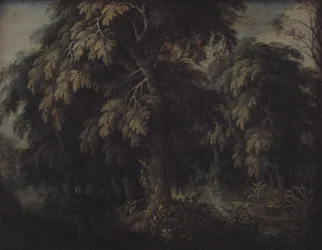 Zalesněná krajina
