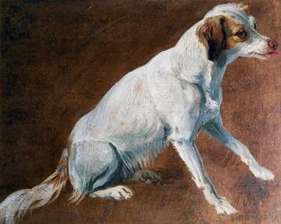 Předek francouzského španěla, od Alexandre-Françoise Desportese (1661-1743), Francie