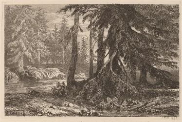 Zkoušky leptu Alexandre Calame, III, pl. 16