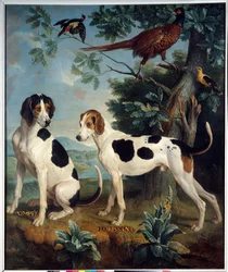 Pompee a Florissant, psi Ludvíka XIV. (1638-1715). Obraz Françoise Desportese (1661-1743)