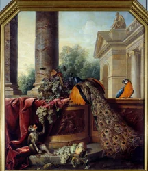 Zátiší s pávem, papouškem, opicí a hrozny vína. 18. století. 2,05 x 1,8 m, Lyon, Musée des Beaux-Arts