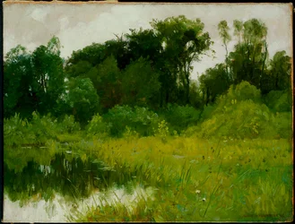 Po dešti, na Minnehaha Creek