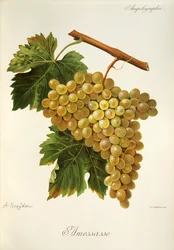 Hrozna Amessasse od A. Kreydera