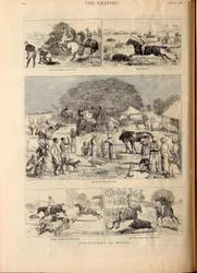 Lov prasat v Bengálsku