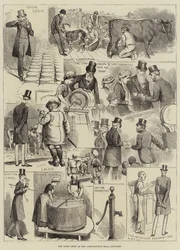 The Dairy Show v Agricultural Hall, Islington