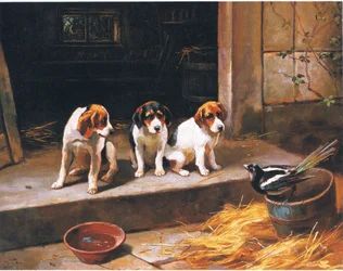 Nezvaný host, z časopisu nebo knižního zdroje neznámý (barva litho)