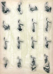 The Evolution of a Caterpillar, c1910, 1911