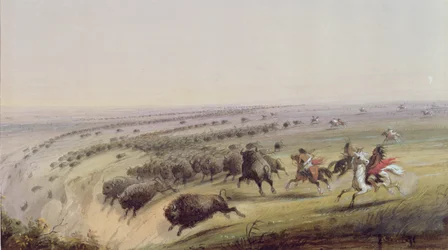 Lov bizonů, 1837