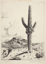 The Sentinel (Sahuaro) (lept a akvatinta)