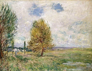 Plain of Veneux-Nadon, 1881