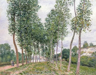 Avenue of Topols podél Banks of the Loing