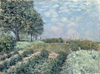 Market Gardens