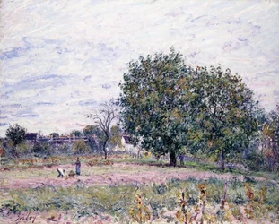 Ořešáky, Efekt zapadajícího slunce - První říjnový den, 1882