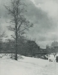 Zimní obloha – Central Park