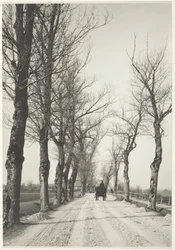Listopadové dny, 1887, vytištěno 192039.