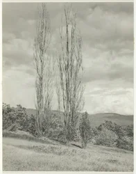 Topoly — Lake George, 1935.