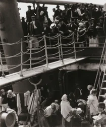 Steerage
