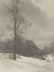 Zima (Central Park)