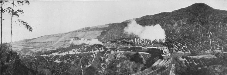 Scéna na nadzemní železnici. Passing a Tea Estate v Nanu Oya, c1890, 1910
