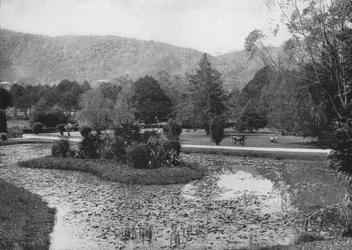 Hakgalla Gardens z Lotosového rybníka, Nuwara Eliya, c1890, 1910