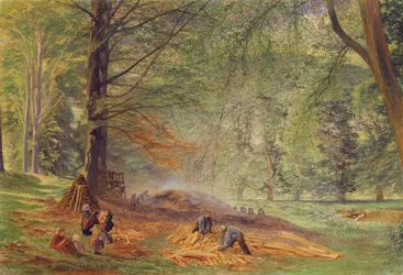 Charcoal Burners in Rokeby Park (akvarel na papíře)