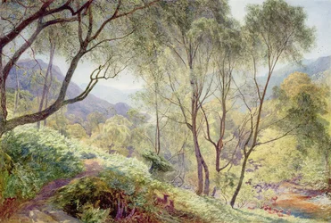Ullswater z Gowbarrow Park, 1864