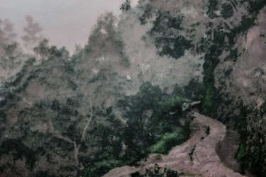 Cesta na Levadas, 2020 (ručně malovaná fotografie)