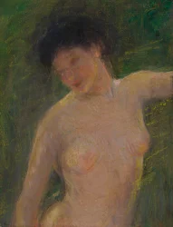 Ve stínu, ca. 1910.