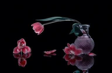 Elegantní růžové tulipány