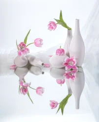 Odrazy růžových tulipánů