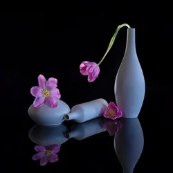 Odražené fialové tulipány
