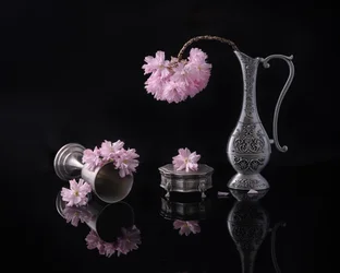 Stříbro a sakura