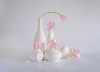 Zátiší se světle růžovými tulipány