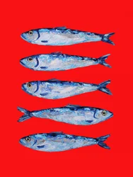 Modré sardinky