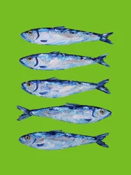 Čerstvé modré sardinky