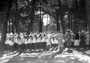 Villa Rosa Maltoni Mussolini: studentky shromážděné v borovém háji (č/b foto)