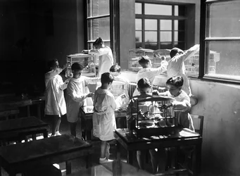 Villa Rosa Maltoni Mussolini: studenti pozorující ptáky v klecích (černobílá fotografie)
