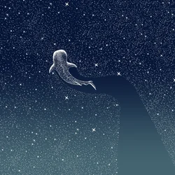 Galaxie žraloků velrybích