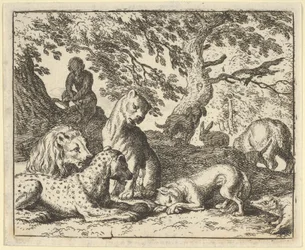 Renard falešně obviňuje svého otce ze spiknutí proti lvu, 1650-75.
