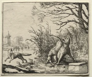 Reynard the Fox: Nové obvinění vlka.