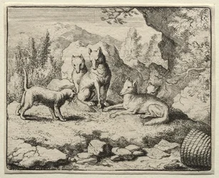 Reynard the Fox: The Cat volá Reynarda k soudu