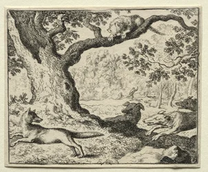 Reynard the Fox: The Disloyal Cat.