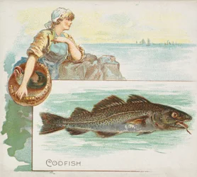 Treska, z ryb ze série American Waters N39 pro cigarety Allen & Ginter, 1889.