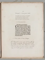 Umění litografie: Tisk písmen, deska XV