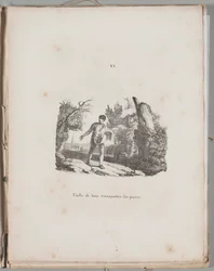 Umění litografie: Přenos dřevorytiny, deska VI