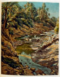 Ilustrace Dinet z 
