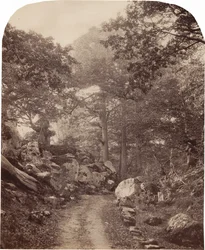Fontainebleau, asi 60. léta 19. století (foto)
